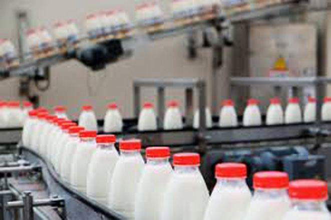 Назван объем поставок молочной продукции из Кыргызстана в Казахстан