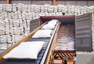 Россия значительно увеличила поставки белого сахара в Узбекистан