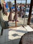 В Баку проведен рейд по незаконным пунктам забоя скота (ФОТО)