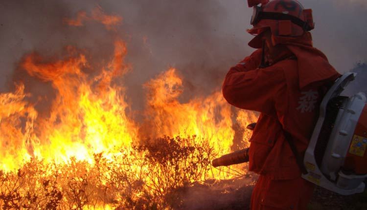 19 пожарных погибли при тушении лесного пожара на юго-западе Китая