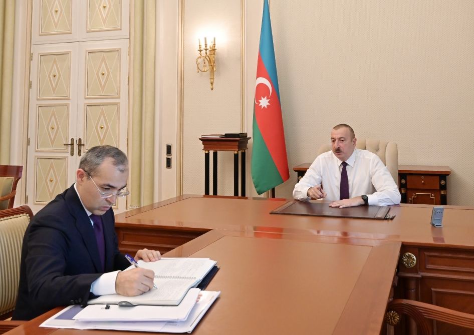Президент Ильхам Алиев принял министра экономики Микаила Джаббарова (ФОТО/ВИДЕО)