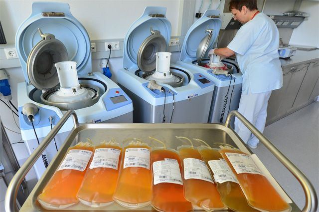 Во Франции проверят эффективность переливания плазмы крови больным коронавирусом