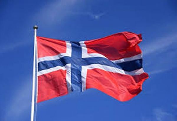 Пенсионный фонд Норвегии разрабатывает правила инвестирования в развитие ИИ