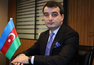 Ильяс Гусейнов: Азербайджан стремится к укреплению международного авторитета Тюркского совета
