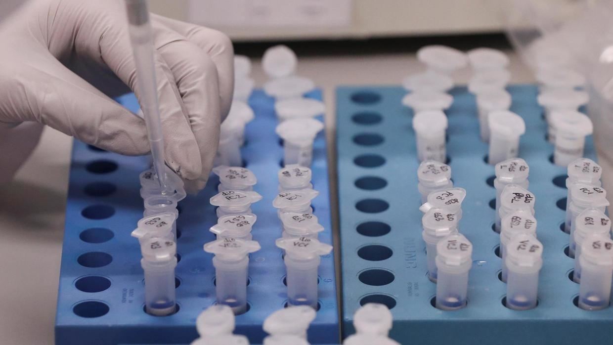 Бразильская клиника разработала первый генетический тест на коронавирус