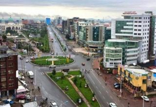 В Эфиопии ввели запрет на увольнения на весь период ЧП