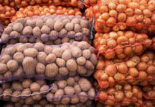 Kazakhstan has sufficient stocks of potatoes, onions - ministry