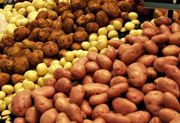 Potato exports exceeded imports in Georgia - Geostat