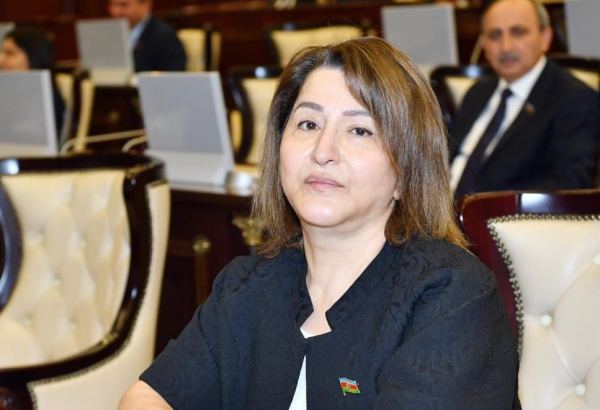Тамам Джафарова: Азербайджанское государство принимает комплексные меры социальной защиты населения в период пандемии