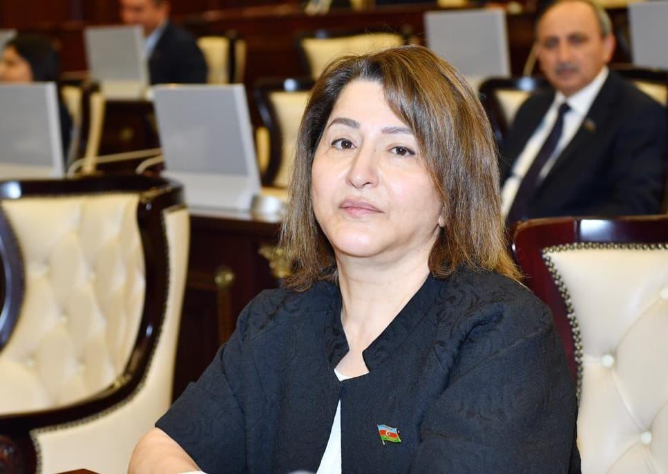 Тамам Джафарова: Азербайджанское государство принимает комплексные меры социальной защиты населения в период пандемии