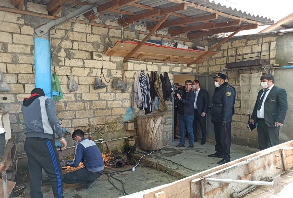 АПБ Азербайджана продолжает мониторинги для пресечения незаконного забоя скота (ФОТО)