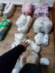 İrandan Azərbaycana 10 milyon manatlıq narkotik gətirən şəxslər tutulub (FOTO/VİDEO)