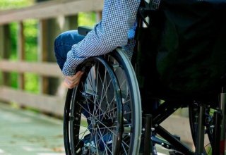 Госагентство Азербайджана назвало число назначений инвалидности за январь-май 2023 г.