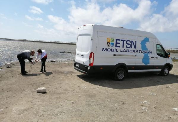 На абшеронском побережье Каспия проведен очередной мониторинг (ФОТО)