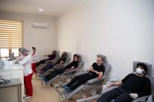 Азербайджанские мастера единоборств провели акцию в поддержку больных талассемией (ФОТО)