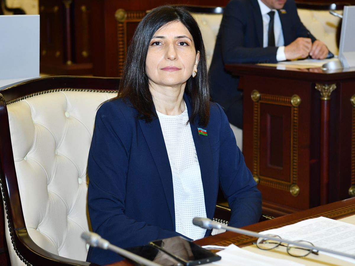 Sevil Mikayılova: Makronun bəyanatı regionda sülhə real təhlükədir
