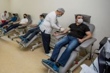 Агентство по развитию МСБ Азербайджана присоединилось к акции по сдаче крови (ФОТО)
