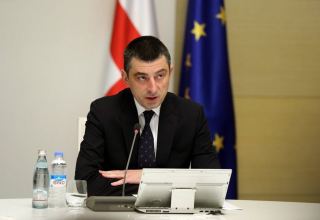 Georgian PM: Economic growth, workplaces and investments to be key priorities
