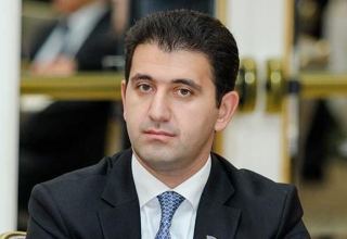 Azerbaijani MP: DOST centers - logical consequence of social policy