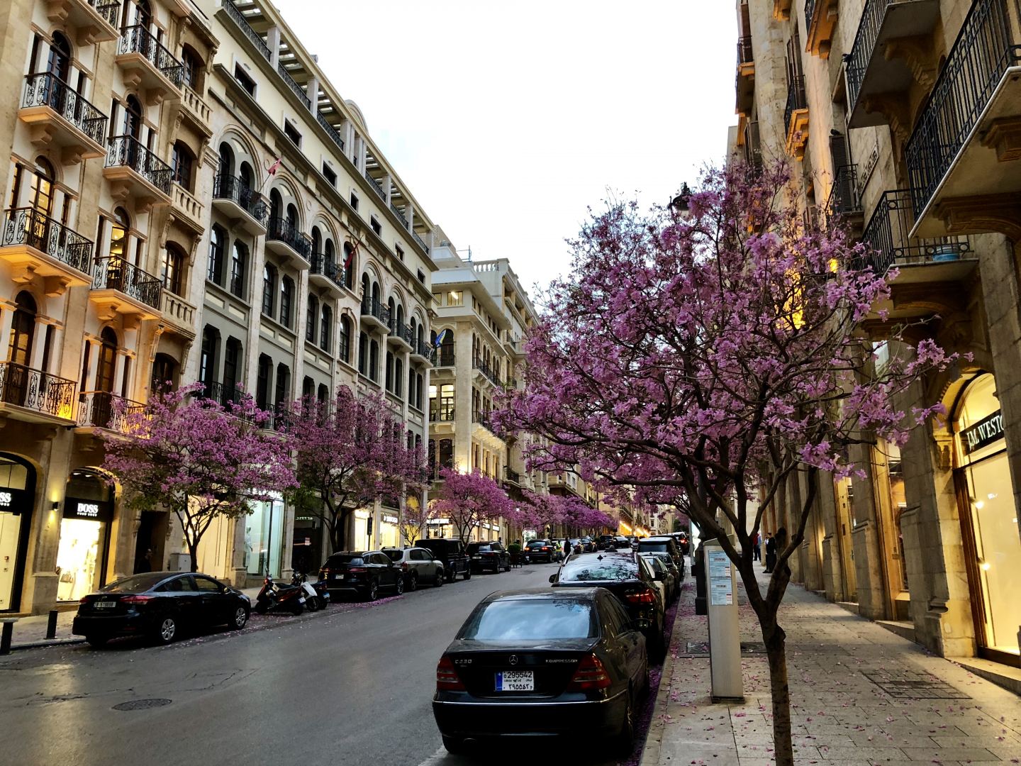Власти Ливана открыли после карантина парикмахерские и автомобильные салоны