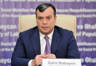 В Азербайджане в этом году число легализованных трудовых договоров увеличилось на 12% - министр