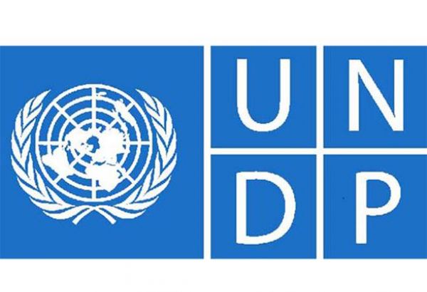 UNDP's Grigoryan exempt from following general rules of organization?