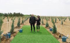 President Ilham Aliyev and first lady Mehriban Aliyeva planted trees on the occasion of national leader Heydar Aliyev’s birth anniversary (PHOTO)