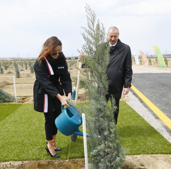 President Ilham Aliyev and first lady Mehriban Aliyeva planted trees on the occasion of national leader Heydar Aliyev’s birth anniversary (PHOTO)