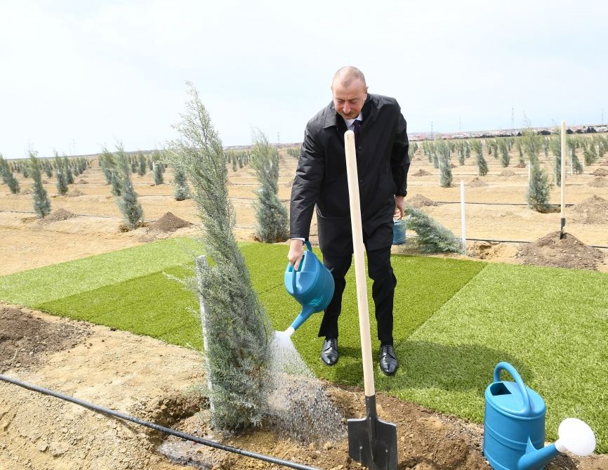 President Ilham Aliyev and first lady Mehriban Aliyeva planted trees on the occasion of national leader Heydar Aliyev’s birth anniversary (PHOTO)