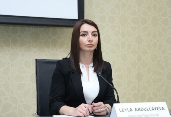 Лейла Абдуллаева: Вся ответственность за обострение ситуации в регионе полностью лежит на Армении