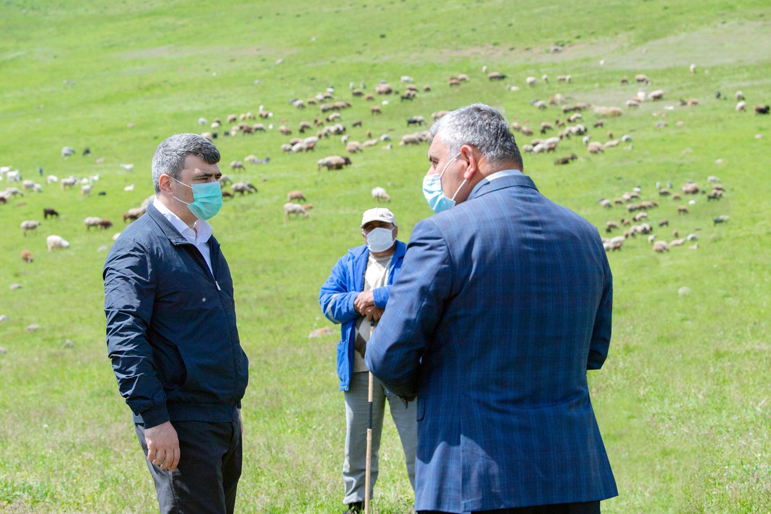 İnam Kərimov: Heyvandarlığın inkişafına dair Dövlət Proqramı fermerlərin rifahını yaxşılaşdıracaq