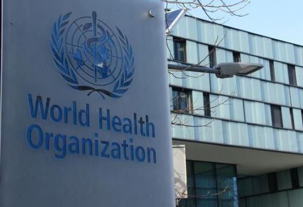WHO talks collaboration with Uzbekistan's Ministry of Health amid COVID-19