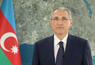 Illegal exploitation of Azerbaijan's natural resources must be stopped - minister