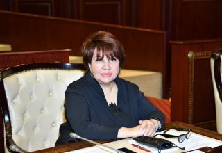 Афет Гасанова: Внимание и забота о вынужденных переселенцах — одно из приоритетных направлений государственной политики Азербайджана