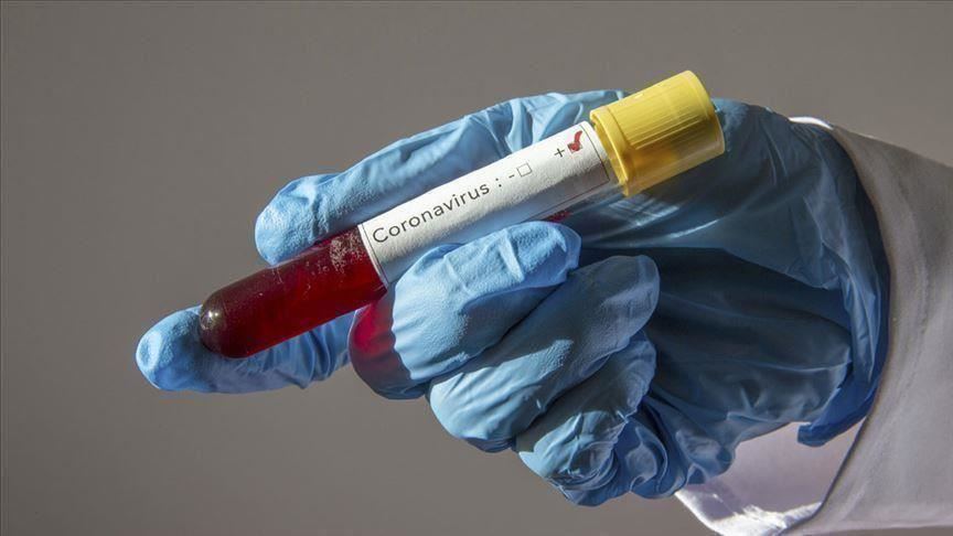 Brazil sets new daily coronavirus infection record