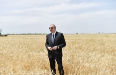 Azerbaijani president attends ceremony to start grain harvest in Aghjabadi (PHOTO/VIDEO)