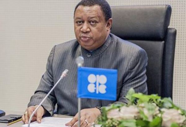 Баркиндо призвал к осторожным действиям на рынке нефти в преддверии встречи ОПЕК+