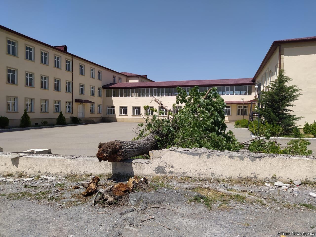 Şəkidə güclü külək ağacı və məktəbin hasarını aşırdı (FOTO) - Gallery Image