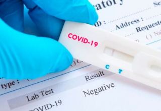 В случае увеличения роста инфицированных COVID-19 в Азербайджане, суточный показатель может превысить 1000 человек - эксперт