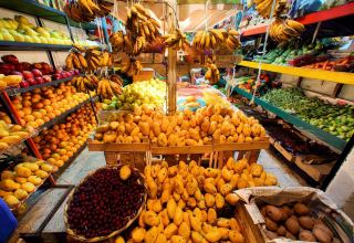 Iran reveals value of tropical and semi-tropical fruit exports