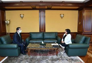 Спикер Милли Меджлиса Сахиба Гафарова встретилась с послом Турции в Азербайджане