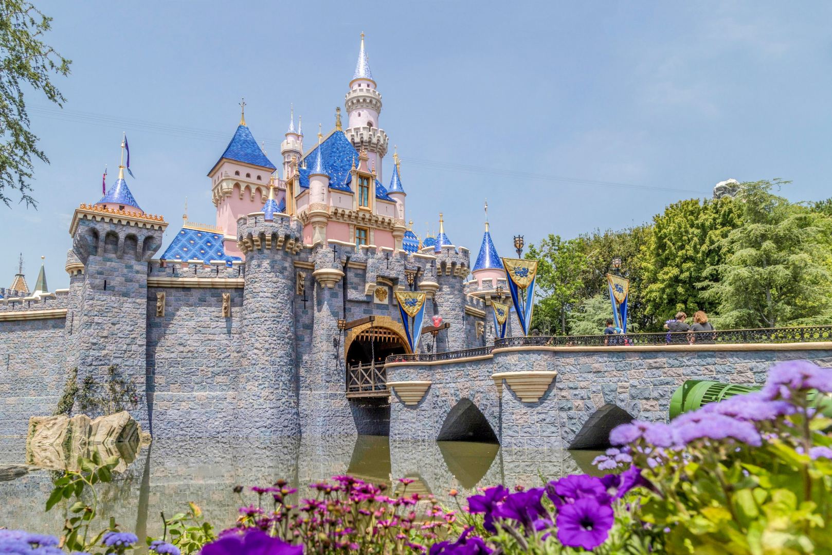 Парк развлечений компании Disney во Флориде к 15 июля полностью возобновит работу