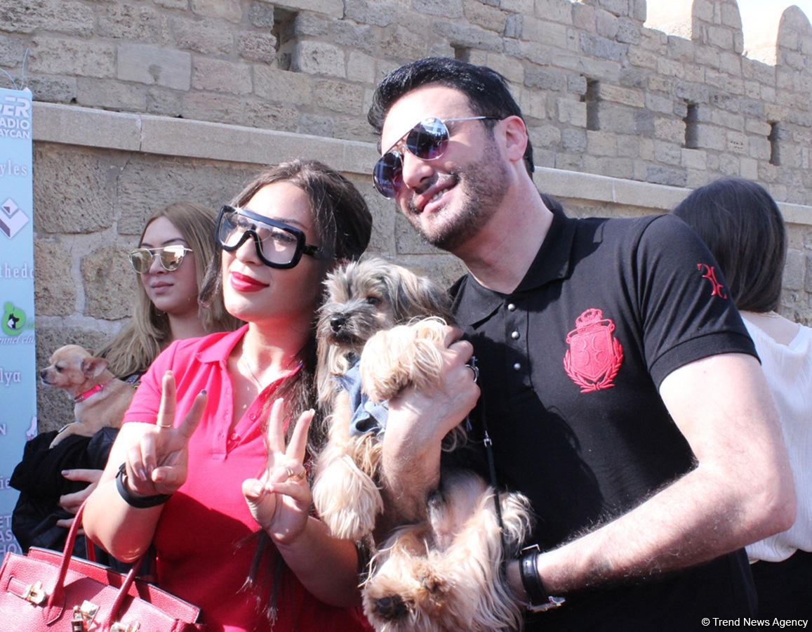 В свете карантина! У кого из азербайджанских звезд есть собаки (ФОТО)