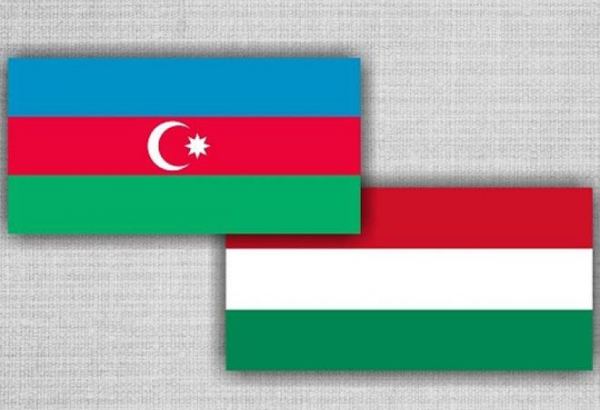 Названа дата строительства азербайджанско-венгерского завода