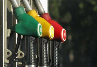 India to promote biofuel ethanol for better environment