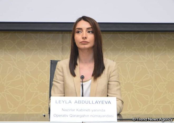Ermənistan hər zaman “hamının hamıya dəyişdirilməsi” prinsipinə qarşı çıxıb - Leyla Abdullayeva