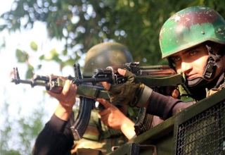В Индии военные по ошибке расстреляли мирных жителей
