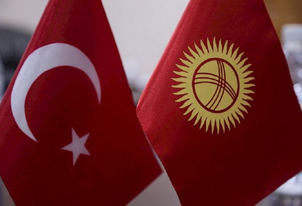 Главы МИД Турции и Кыргызстана отметили позитивную динамику развития двусторонних отношений