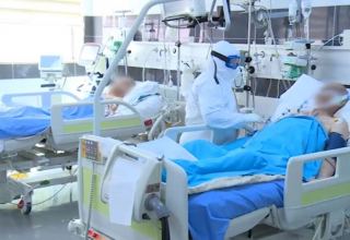 Коронавирус частично утратил прежнюю остроту симптомов — азербайджанский врач