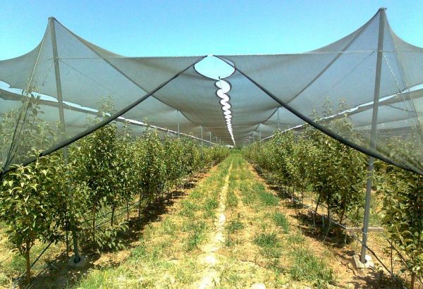 French company to create intensive gardens in Uzbekistan